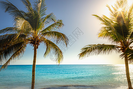 荷属安的列斯群岛阿鲁巴日落时有棕榈树和棕榈树的伊德利克卡里贝海滩天空热带气候蓝色荷属旅行假期晴天风景季节图片
