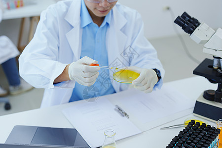 讨论技术革新问题 分析化学样品和研究科技创新药品教育显微镜微生物学技术员化学品滴管生物学蓝色科学图片