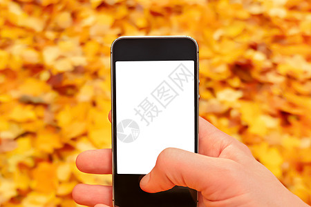 空白的 落叶秋天手机样机手拿着智能手机自然秋天背景树叶掉落销售手机样机智能手机空白屏幕手手机自然秋天背景手机手图片