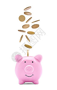 养猪银行的财富帐户贷款基金经济预算盒子金融生长小猪利润图片