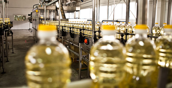 生产食用油的工厂 浅色DOFF 乌克兰植物行动油厂饮食生产线工人液体工作烹饪种子图片