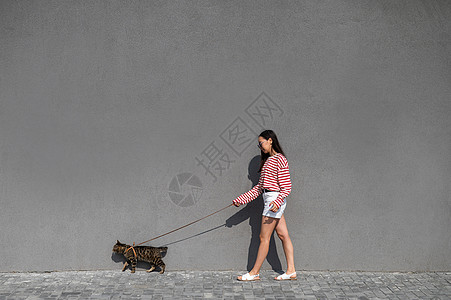 一位年轻女子带着一只灰色的小猫走在一条皮带上虎斑探险家友谊爪子尾巴猫咪猫科胡须动物公园图片