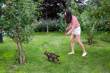 年轻女子在户外走着小猫咪猫咪公园捕食者流浪汉检查动物毛皮马具小猫皮带图片