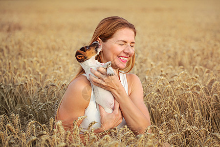 小麦田的年轻女子 抱着杰克·罗素·泰瑞尔的小狗 那正在舔她的耳朵图片