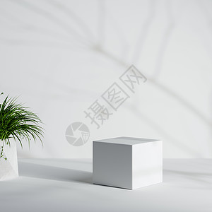 带室内植物和树干的白色最小产品讲台和树叶阴影背景 3D插画渲染图片
