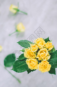 黄色玫瑰     婚礼 节假日和花花花园式概念植物学邀请函问候语风格礼物假期花束园艺新娘花店图片