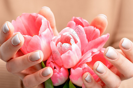 女人手握着粉红色郁金香叶子女士明信片礼物时尚周年植物花店假期女孩图片