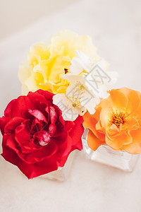 爱的花朵生日花束乡村模板植物玫瑰假期婚礼设计母亲图片