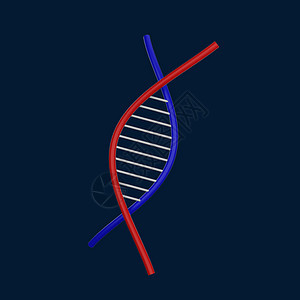 3d 图标 网络 DNA图片