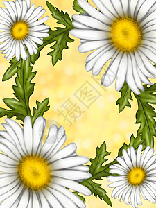洋甘菊花的插图 明信片设计的背景 一大束雏菊 浅色背景上的白花太阳艺术树叶手绘花瓣植物群绘画叶子纺织品晴天图片