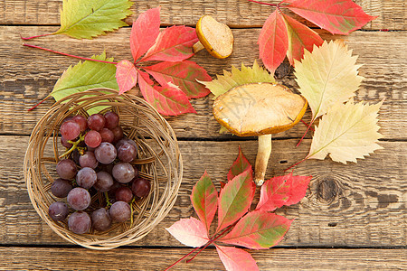 秋天还有蘑菇 柳篮中的葡萄 绿叶和红叶图片