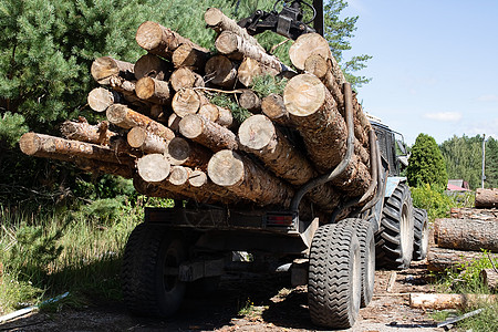 木头被折叠在拖拉机上树木驾驶太阳记录婴儿胸罩木工人日志柴堆林业图片