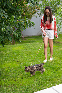 年轻女子在户外走着小猫咪皮带捕食者叶子尾巴宠物哺乳动物猫科虎斑草地友谊图片