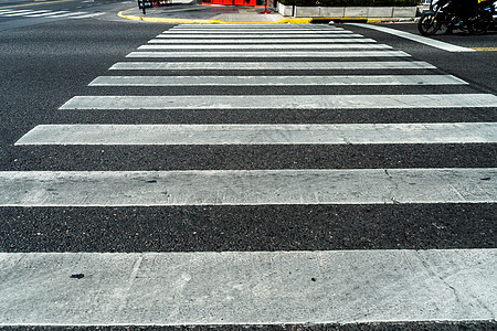 一条公路上的斑马跨越地带图片