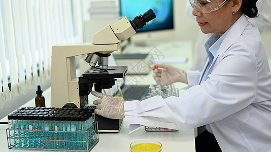 白大衣专业化学科学在实验室检查样品和液体 医学和科学研究概念图片