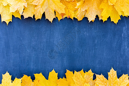 秋叶框 蓝色背景最深的视野黄色和橙叶树老牌结构表复制文本空间乡村作品桌子感恩黑板边界木板叶子小样嘲笑图片