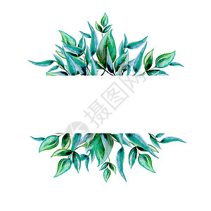 带有绿叶和文本位置的框架模板 水彩色插图野花海报装饰品植物学生态花环手绘花圈圆圈生物图片