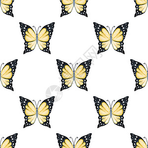 黄色黄蝴蝶 无缝 不白色图片