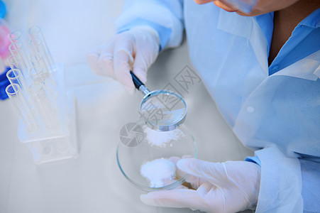 科学家的顶端视图 他们利用带放大玻璃的润滑物研究实验室花生盘上的药理物质图片