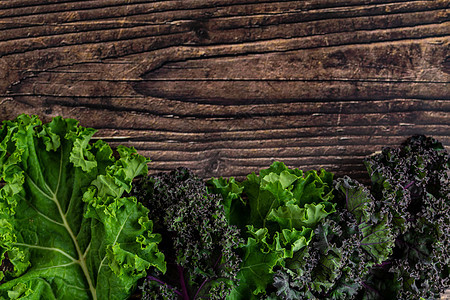 绿叶甘蓝生产卷曲食物植物学纤维蔬菜饮食维生素花园美食图片
