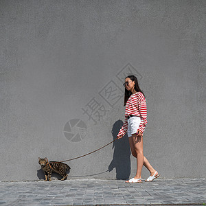 一位年轻女子带着一只灰色的小猫走在一条皮带上公园虎斑叶子友谊捕食者城市爪子朋友们马具女士图片