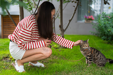 年轻女子在户外走着小猫咪虎斑猫科公园尾巴女士捕食者冒险流浪汉胡须探险家图片