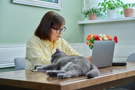 在家工作 使用笔记本电脑与宠物猫一起工作的商业妇女中年会议房间互联网快乐电话职场技术女性说谎图片
