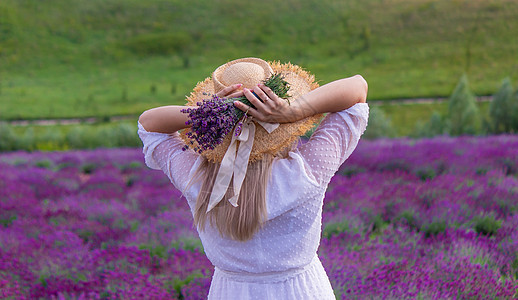 穿白裙子的紫衣花朵的女人 乌克兰女士帽子日落农村幸福草地晴天疗法蓝色芳香图片