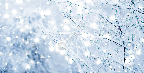 冬季假日背景 自然风景 圣诞时森林中明亮的雪雪和寒冷天气新年魔法树木下雪旅行森林问候场景季节火花图片