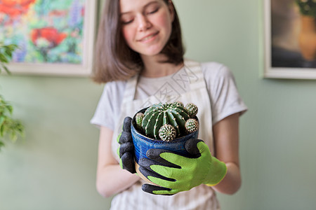 在锅里拿着仙人掌的少女 业余爱好和休闲 家庭园艺 家居种植植物移植城市手工花盆风格花园女孩丛林房子图片