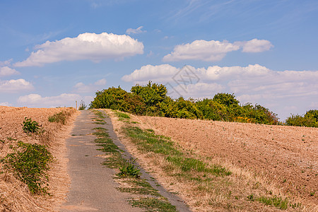 一条田径穿过干枯的碎块田 通往地平线上的灌木和云图片