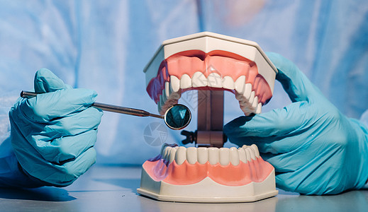 戴蓝色手套和面具的牙医拿着上下颌的牙科模型和牙镜假牙牙齿诊所卫生微笑陶瓷治疗造型矫正牙科技师图片