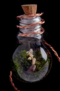 带石块的花粉灯环境装饰风格石头植物花瓶碎石灯泡生态瓶子图片
