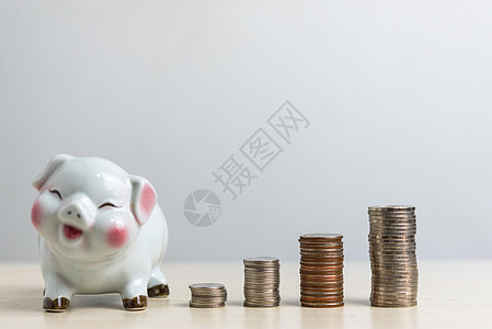储蓄资金投资商业会计和银行业增长经济融资 并采用小猪和硬币堆积概念图片