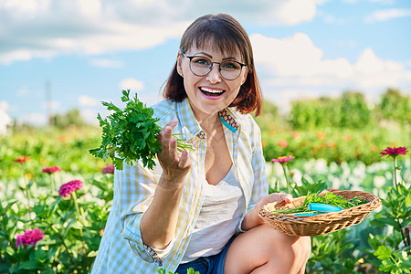 菜园中年期妇女 种植食草类作物中年味道生长茄子自然剪刀女性女士绿色植物农业图片