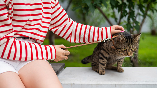 年轻女人和小猫坐在户外的长椅上叶子友谊猫科动物毛皮流浪汉公园宠物哺乳动物草地图片