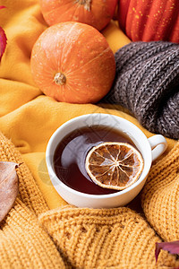 温柔的秋天构成 毛衣天气 南瓜 热茶和窗户上的毛衣季节围巾咖啡情绪健康橙子桌子生活乡村叶子图片