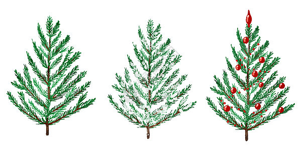 圣诞树的水彩手绘插图 冬季新年常绿冷杉松树云杉植物 12 月季节庆典设计 邀请卡的节日派对打印 隔离在白色背景假期装饰品卡片绘画图片