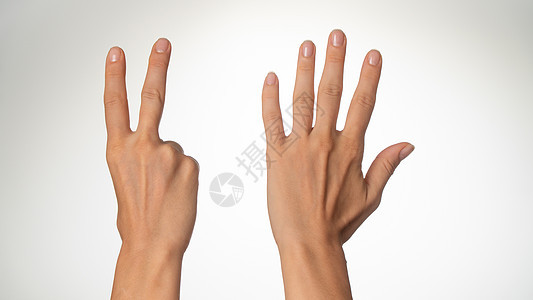 女人的手靠着手指 七只手背七只手图片