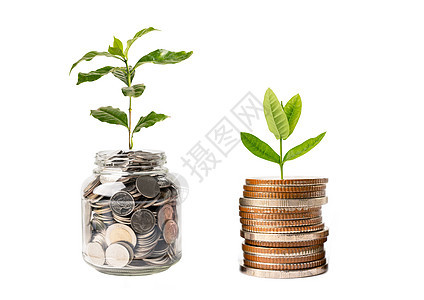 节省在塑料瓶中的硬币上种植的金钱树 商业融资投资概念库存储蓄交换金子植物财富支付金融叶子收益图片