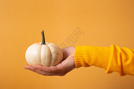 一只小装饰的白南瓜 在一个女人手里 穿着一件橙色背景的毛衣假期收获南瓜食物女手女士感恩收成农民橙子图片