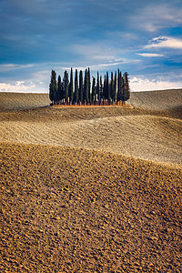 Orcia 在黄金时段 在意大利托斯卡纳的意大利山丘上 拥有美丽温暖的光线和云彩 一组意大利柏树称为Orcia蓝色风景国家农业农图片