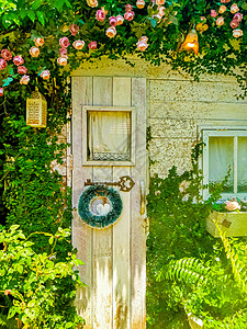 花园小屋 有美丽的花朵花朵花朵 室内美观思想村庄咖啡店院子园林公园餐厅草地座位植物家具图片