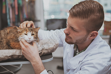 在他的诊所工作的英俊男性兽医师动物治疗专家药品诊断男人工人医院临床情况图片