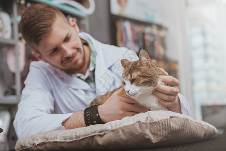 在他的诊所工作的英俊男性兽医师诊断小猫情况医生病人药品宠物职业动物专家图片