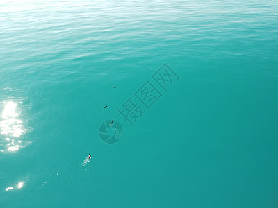 抽象的空中海夏季海洋日落自然背景 运动中水面上的小波浪与来自太阳的金色散景光模糊 假期 假期和娱乐概念 慢动作火花海浪辉光蓝色水图片