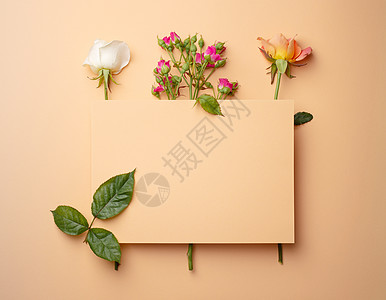 空白空粉色米色纸与鲜花玫瑰顶视图 春天浪漫精致的花卉背景 带有文字空间 柔和的色彩和柔和的花束花卉卡片图片