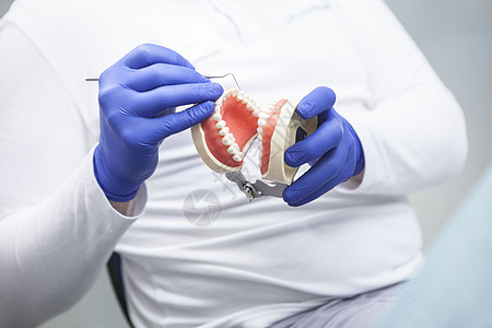 具有假牙模型的无法辨认牙医美白考试手套教育医疗保健卫生牙科治疗医生图片