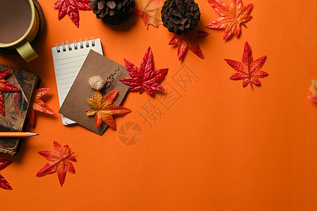 顶部笔记本 咖啡杯 松果和橙色背景的红叶图片