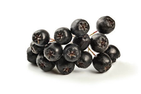 白底绝缘的带干枯的冠状(Chookeberry)水果详情图片